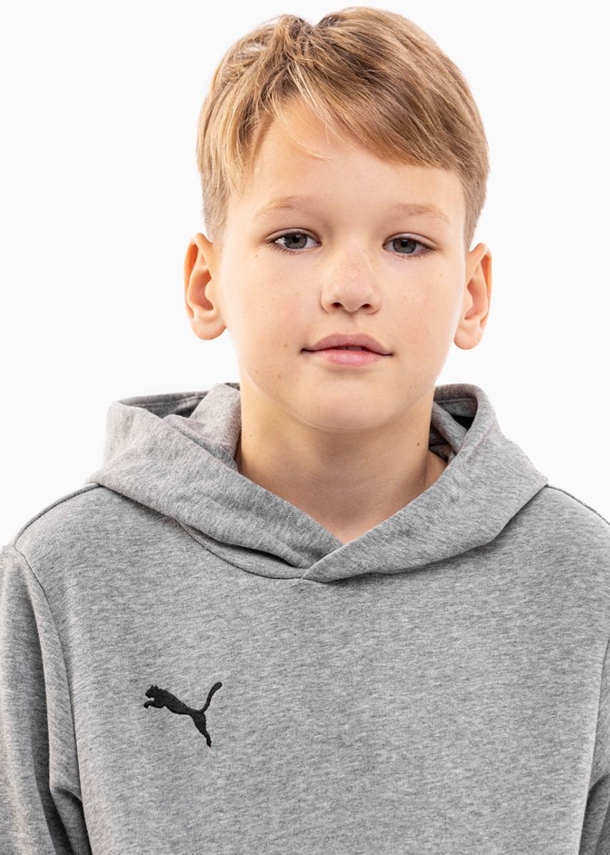 Puma Detská tepláková súprava teamGOAL 23 Casuals Hoody Jr 656711 33/656713 33