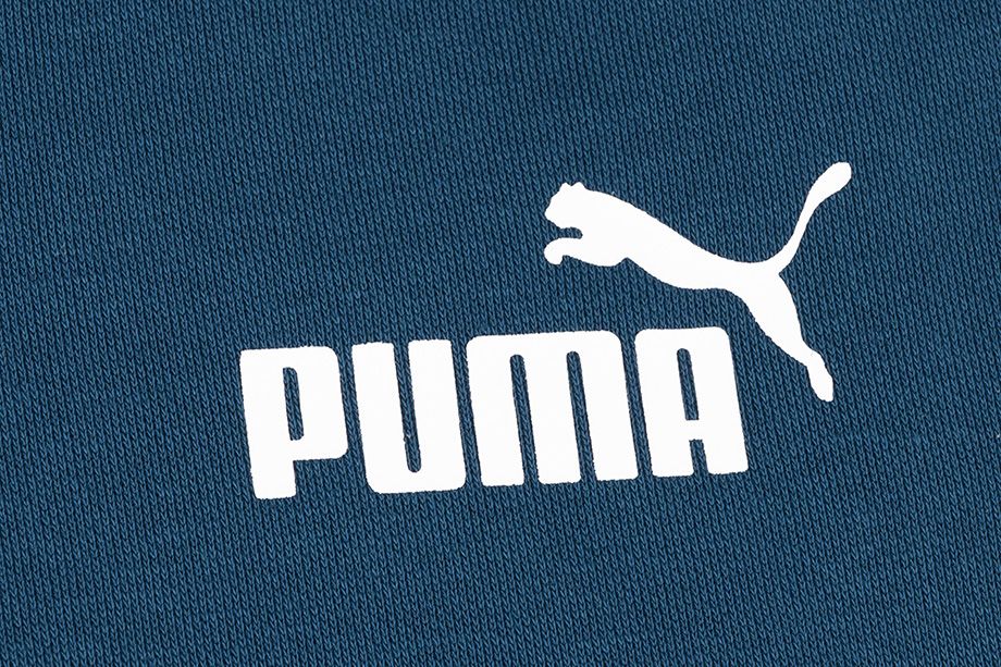 Puma Pánske nohavice ESS Logo Pants FL cl 853410 38