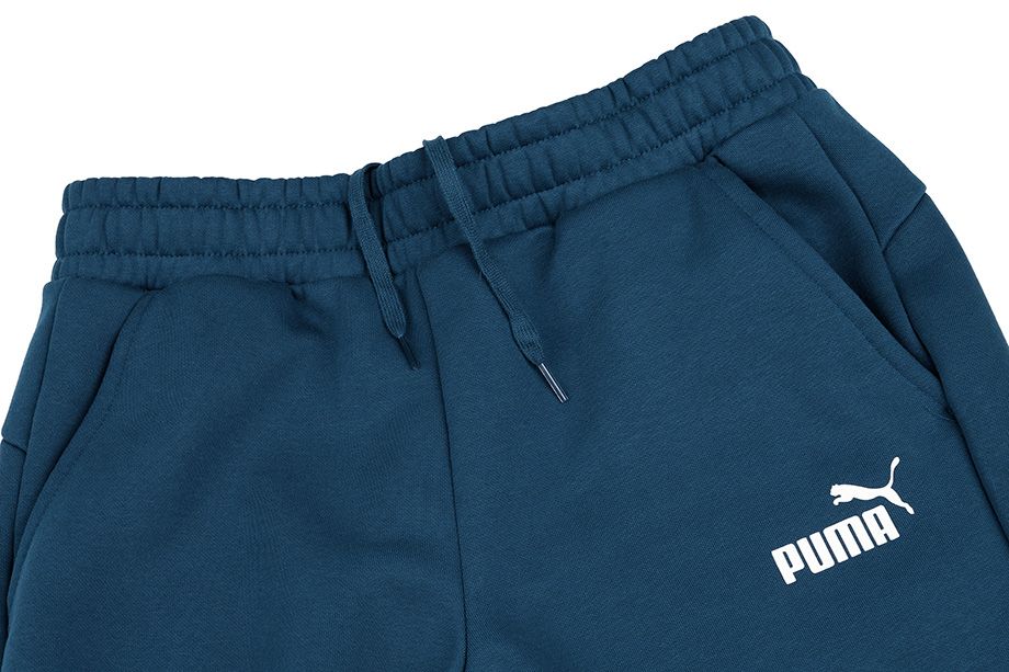 Puma Pánske nohavice ESS Logo Pants FL cl 853410 38