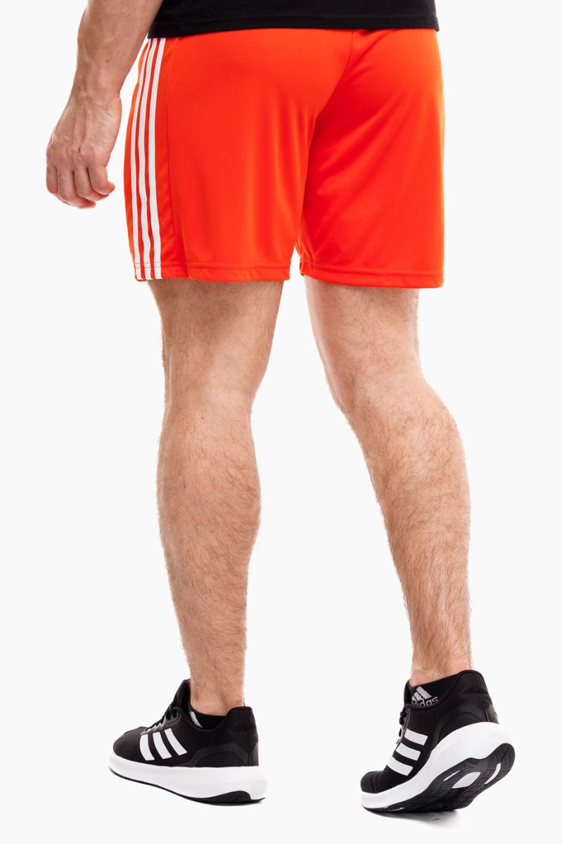 adidas pánske krátke nohavice Squadra 21 Short GN8084