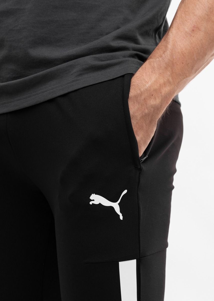 PUMA Mužské nohavice teamLIGA Training Pants 657332 03