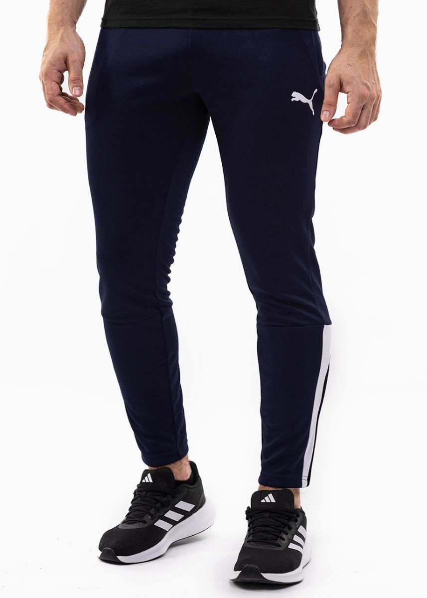 PUMA Mužské nohavice teamLIGA Training Pants Parisian 657242 06