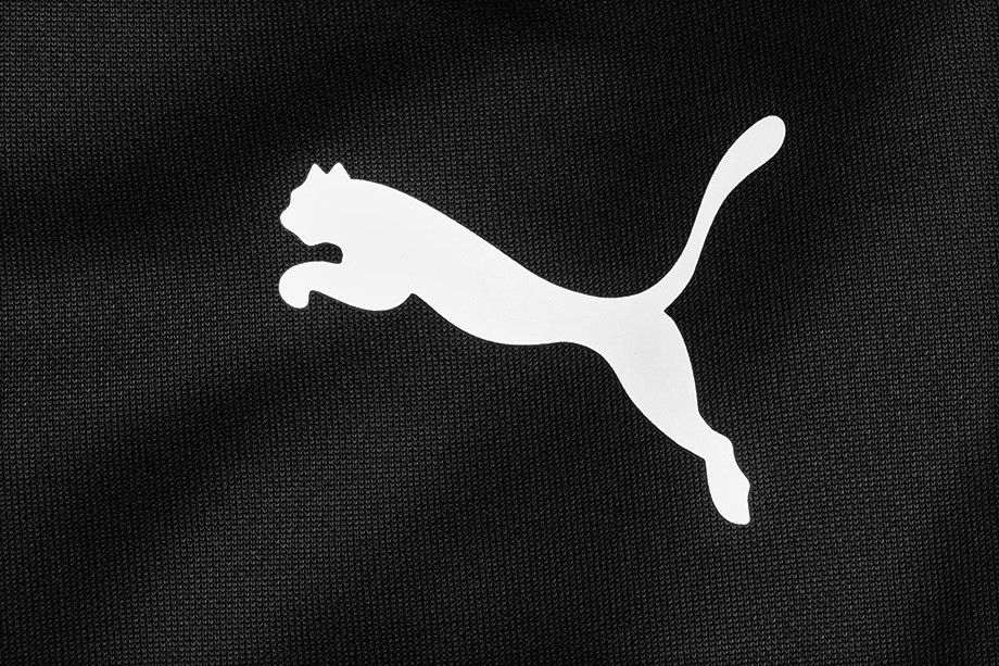PUMA Pánske nohavice teamRISE Poly Training 657390 03 EUR XL OUTLET PUMA Pánske nohavice teamRISE Poly Training 657390 03 EUR XL OUTLET