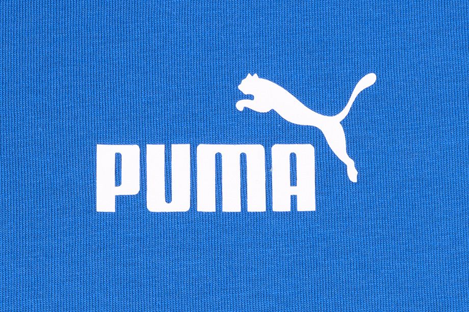 Puma Pánske zosilnené tričko Amplified Tee 585778 13