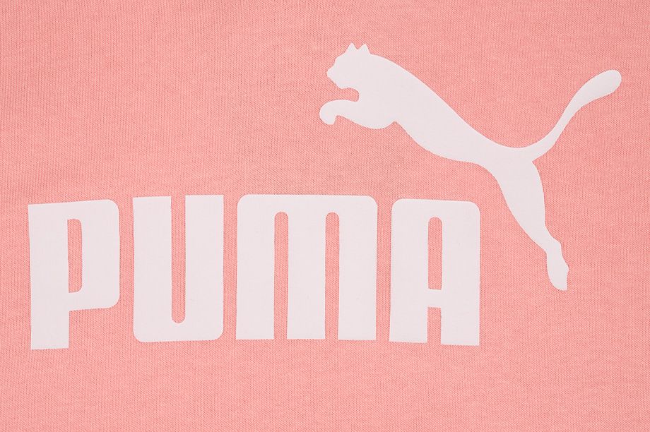 PUMA Dámska Mikina Amplified Hoodie TR 585910 26