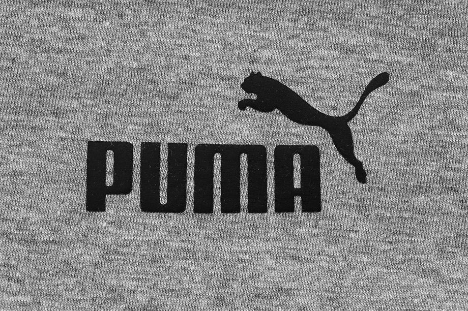 Puma Pánske zosilnené tričko Amplified Tee 585778 03