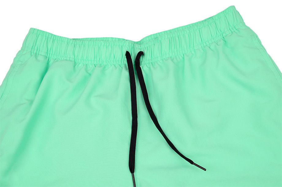 Nike Krátke Nohavice Pánske Logo Lap NESSA566 315