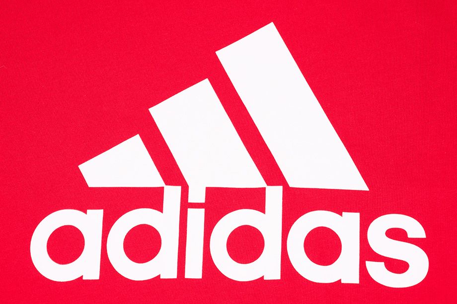 adidas Tričko Pánske Essentials Big Logo GK9124