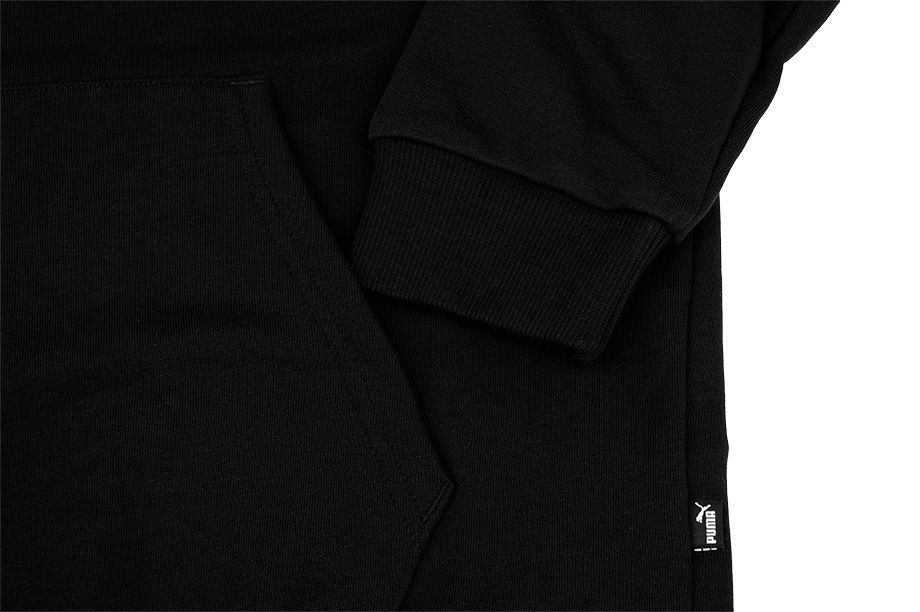  PUMA Pánské Mikina Amplified Hoodie TR 585783 01