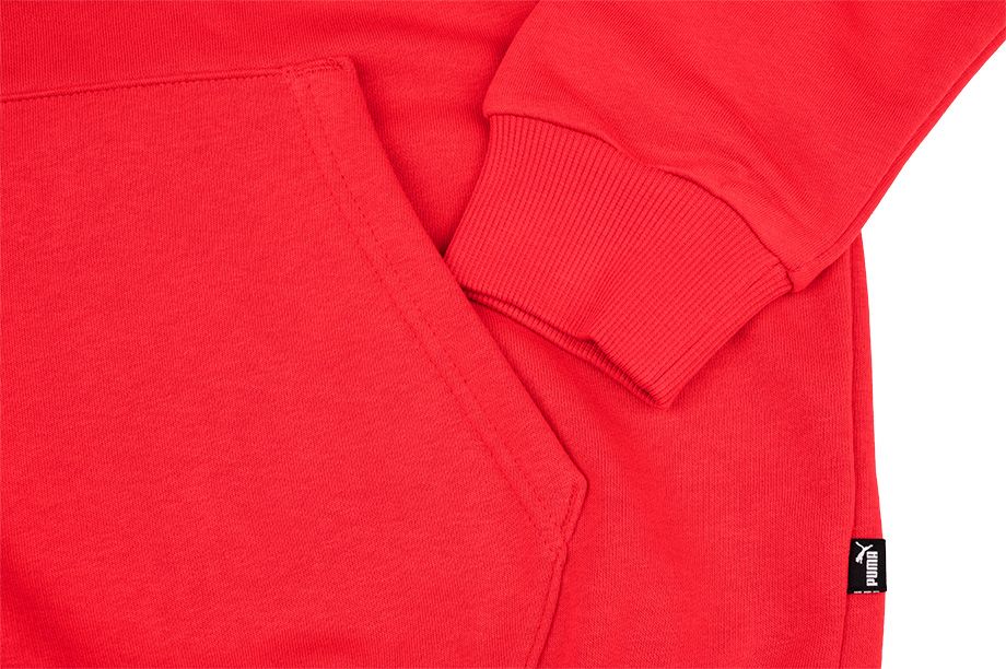 Puma Pánské Mikina Amplified Hoodie TR 585783 11