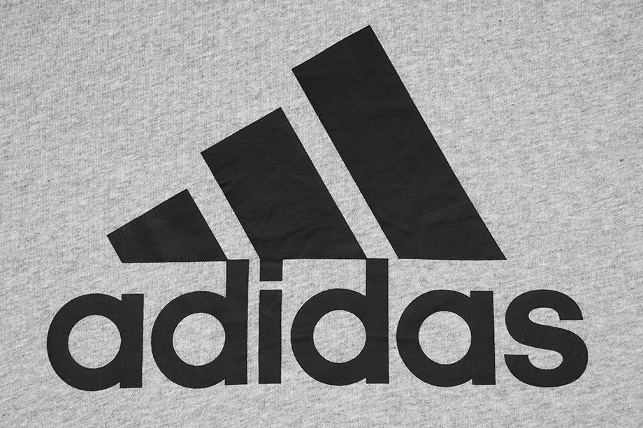 adidas pánske tričko Essentials Big Logo GK9123