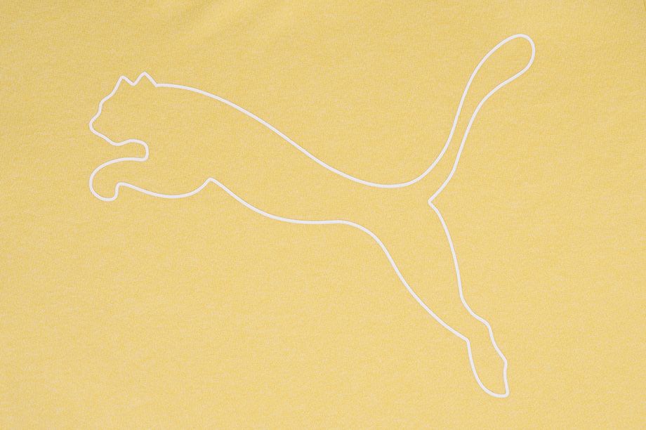 Puma Dámske tričko RTG Heather Logo žlté 586455 40