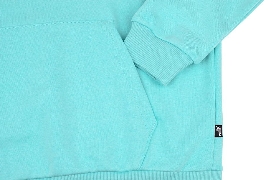  Puma Pánské Mikina Amplified Hoodie TR 585783 49
