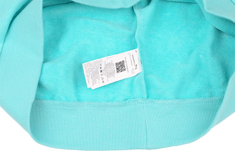  Puma Pánské Mikina Amplified Hoodie TR 585783 49