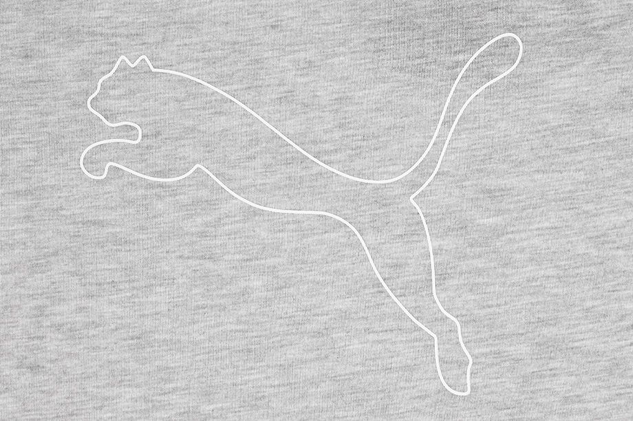 Puma Dámske tričko RTG Heather Logo 586455 04