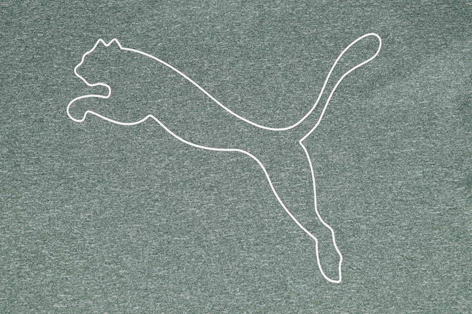 Puma Dámske tričko RTG Heather Logo 586455 45
