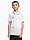 Obrázok Koszulka dla dzieci Nike Dri-Fit Park 26 Polo HM7145 100 variantu produktu