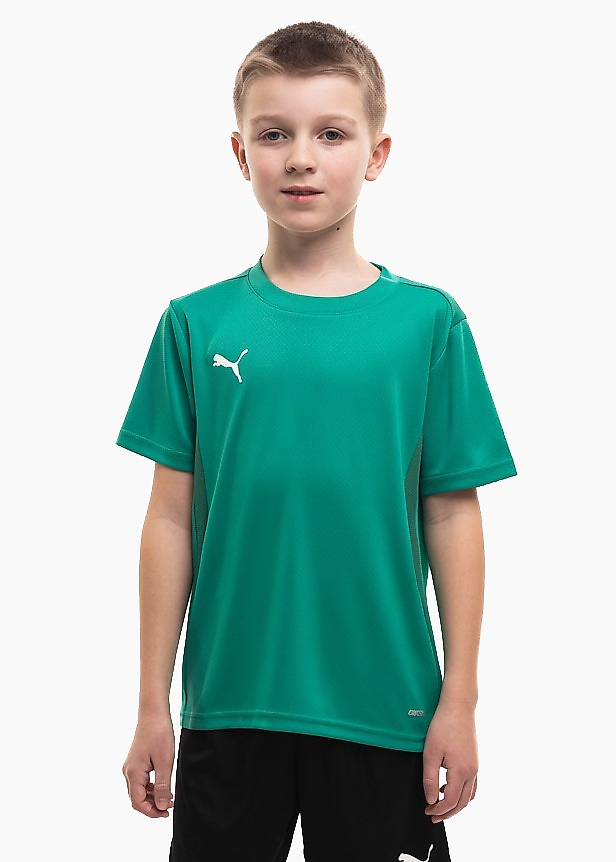 Detský dres Puma TeamGoal Jersey 658637 05