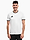 Obrázok Koszulka męska adidas Entrada 26 Jersey JZ2508 variantu produktu