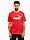 Obrázok PUMA Koszulka męska Ess No.1 Logo Tee 682532 11 variantu produktu