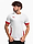 Obrázok PUMA Koszulka męska teamGoal Matchday Jersey 705747 11 variantu produktu