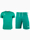 Obrázok PUMA męski strój sportowy koszulka spodenki teamLIGA Jersey 704917 05/704924 05 variantu produktu